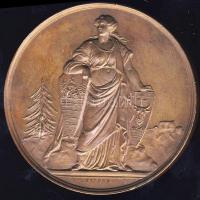 1874. "Máramaros-Magyar Orvosok és Természetvizsgálók..." Br plakett szign.: Seidan T:1/2