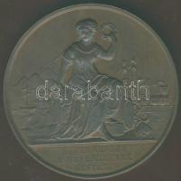 1870. "Arad-Magyar Orvosok és Természetvizsgálók..." Br plakett szign.: Seidan T:1/2