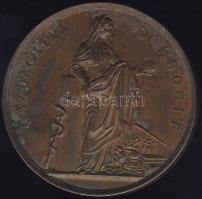 1843. "Temesvár-Magyar Orvosok és Természetvizsgálók..." Br plakett szign.: Boehm T:2 k