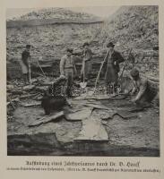 Wilhelm Bölsche: Von Drachen und Zauberküsten. Abenteuer aus dem Kamps mit dem Unbekannten in der Na...