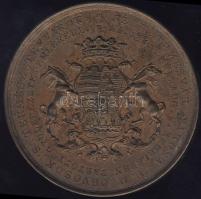 1843. "Temesvár-Magyar Orvosok és Természetvizsgálók..." Br plakett szign.: Boehm T:2 k