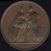 1846. "Kassa-Magyar Orvosok és Természetvizsgálók..." Br plakett szign.: Boehm T:2- kis ph, k