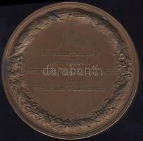 1846. "Kassa-Magyar Orvosok és Természetvizsgálók..." Br plakett szign.: Boehm T:2- kis ph...