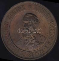 1884. "Trefort Á. Buziás- Temesvár-Magyar Orvosok és Természetvizsgálók..." aranyozott Br plakett szign.: K. B. T:1-/2+