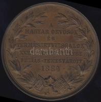 1884. "Trefort Á. Buziás- Temesvár-Magyar Orvosok és Természetvizsgálók..." aranyozott Br ...