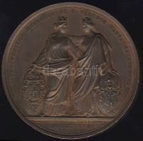 1846. "Kassa-Magyar Orvosok és Természetvizsgálók..."  Br plakett szign.: Boehm T:3+ k