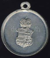 1865. "Pozsony-Magyar Orvosok és Természetvizsgálók..." kisalakú Z füles zseton T:1/2 RR!!