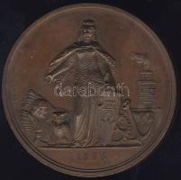 1865. "Rimaszombat-Magyar Orvosok és Természetvizsgálók..." Br plakett T:1/2 pici ph