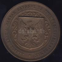 1865. "Rimaszombat-Magyar Orvosok és Természetvizsgálók..." Br plakett T:1/2 pici ph