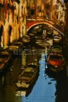 Bánfalvy Ákos (1943-): Velence. Olaj, farost, jelzett, keretben, 80×60 cm