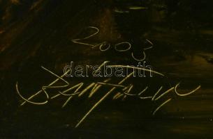 Bánfalvy Ákos (1943-): Velence. Olaj, farost, jelzett, keretben, 80×60 cm