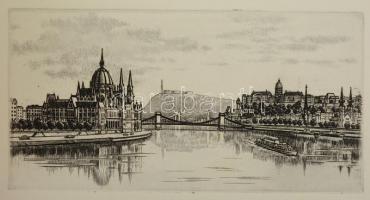 The Diractorate of the National Institute for Serobacteriological Production and Reseach "Human...