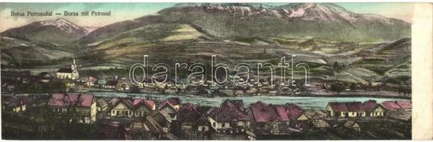 Kolozsborsa, Borsa; Petrosul, látkép, kihajtható panorámalap, Wider Hers kiadása / mountain, general view, panoramacard
