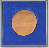 DN Magyar Hajózási Részvénytársaság "MHRT Hűségért Munkáért" Br emlékplakett eredeti tokba...