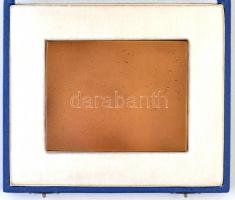 Madarassy Walter (1909-1994) 1973. "Budapest 1873-1973" Centenáriumi Br plakett dísztokban...