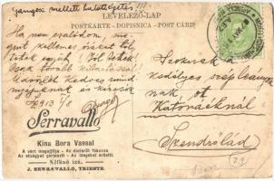 Trieste, 'Vino di China Ferruginoso Serravallo' advertisement on the backside (fa)