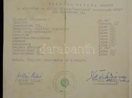 1953 a Szegedi Állami Zeneművészeti Szakiskola fúvóstanári oklevele