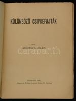 Ruzitska Jolán: Különböző Csipkefajták. Kis Könyvek. Budapest, 1928, Singer és Wolfner Irodalmi Inté...