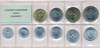 1989. 2f-20Ft 10db klf, érmés forgalmi sor fóliatokban T:1
Adamo FO22