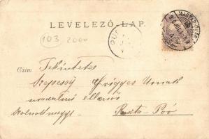 1900 Magyaróvár kártyázó társaság / people playing cards, photo (kis szakadás / small tear)