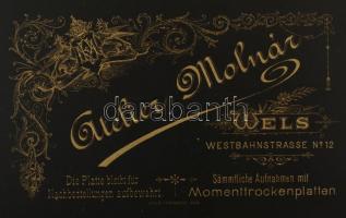 cca 1900 Ferenc József császár látogatása Welsben, katonai fogadtatás mellett. Atelier Molnár fotó /...