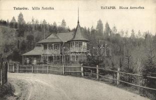 Tatariv, Tatarów; Willa Antolka / villa