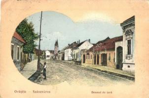 Szászváros, Orastie, Broos; Országút, Beck Károly üzlete (?) / street, shop / Drumul de tara (EK)