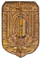Németország DN "Német Lövész Szövetség" aranyozott, zománcozott jelvény T:2
Germany ND &q...
