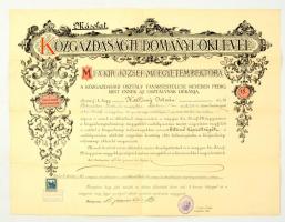 1915 Közgazdaságtudományi oklevél másolata Hallóssy István (1893-?), a Budapesti Nemzetközi Vásár későbbi igazgatója részére