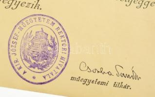 1915 Közgazdaságtudományi oklevél másolata Hallóssy István (1893-?), a Budapesti Nemzetközi Vásár ké...