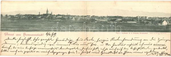 1899 Nagyszeben, Hermannstadt, Sibiu; panoramacard von G. A. Seraphin