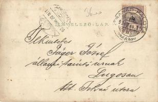 1900 Csanádpalota, Utcakép Községházával, photo (EK)