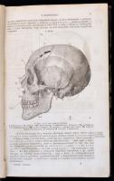Paszlavszky József: Az állattan kézikönyve. Gymansiumok és reáliskolák felsőbb osztályai-, erdészeti...