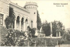 Csucsa, Ciucea; Boncza vár / castle