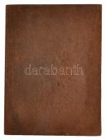 Solymári Valkó László (1909-1984) DN "Móricz Zsigmond" Br plakett (89,5x66mm) T:1