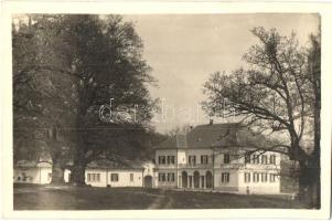 Zsibó, Jibou;  Báró Wesselényi kastély / castle, Foto 'Erna' photo