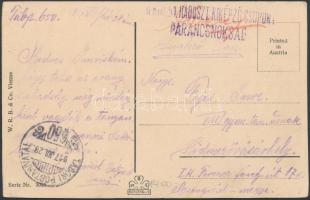 1917 Tábori posta képeslap / Field postcard "M.KIR. 51. HADOSZT. KIKÉPZŐ CSOPORT PARANCSNOKSÁG&...