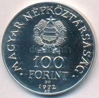 1972. 100Ft Ag "Budapest" T:BU 
Adamo EM40