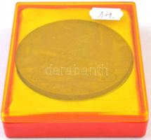 Olaszország 1986. "Venti anni di Scuola dello Sport (20 éves a Sportiskola)" Br plakett, t...