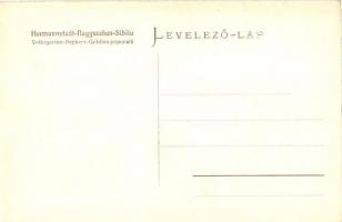 Nagyszeben, Hermannstadt, Sibiu; Népkert, Ludwig Kwanka étterme, zenepavilon, kerthelyiség / park, r...