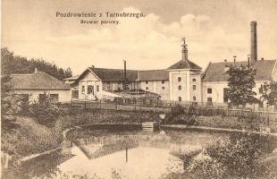 Tarnobrzeg, Browar parowy / steam brewery