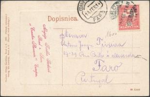 Bród, Brod na Savi; szőlőkert / vineyard (EK)