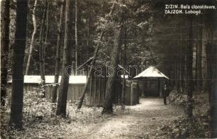 Zajzon, Zizin; Lobogó forrás / Baia Clocotitoare / spring, Atelier Heinrich Lang photo