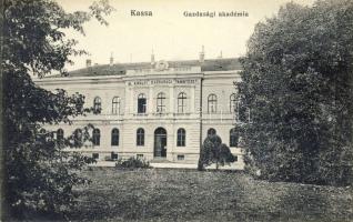 Kassa gazdasági akadémia