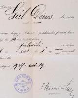 1927 Bp., A Charité Poliklinika Igazgatósága által kiadott fülészeti osztályra való kinevező okirat