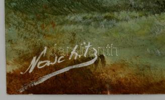 Náschitz jelzéssel:Tó parti fák. Vegyes technika, papír, 23×28 cm