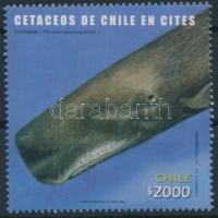Bálna bélyeg, Whales stamp