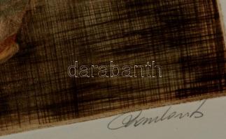 Paulovits Pál (1892-1975): Őszivirágok. Színezett rézkarc, papír, jelzett, 35×24 cm