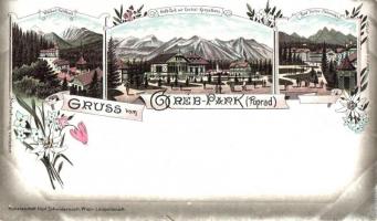 Poprád, Gréb park, Tátra, Tarpatakfüred, Alsótátrafüred, kiadja Schwidernoch Károly / park, mountain floral Art Nouveau litho
