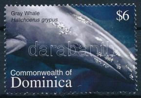 Whale stamp, Bálna bélyeg